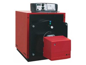 Protherm Бизон